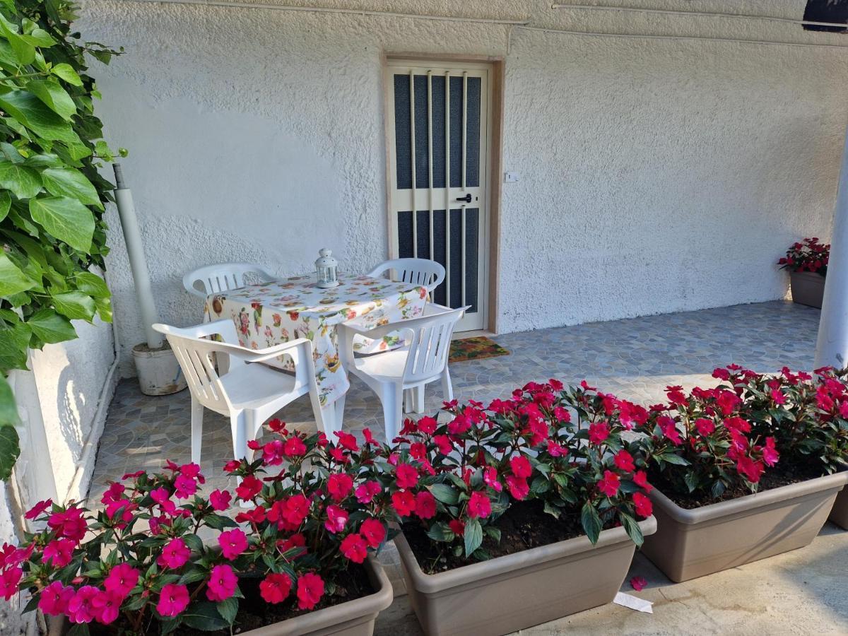 Dom wakacyjny Casa Alba